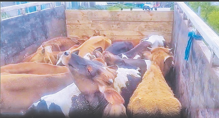 Suba donkti ki pulit Ladrymbai ba pyllait kali kit masi: FKJGP