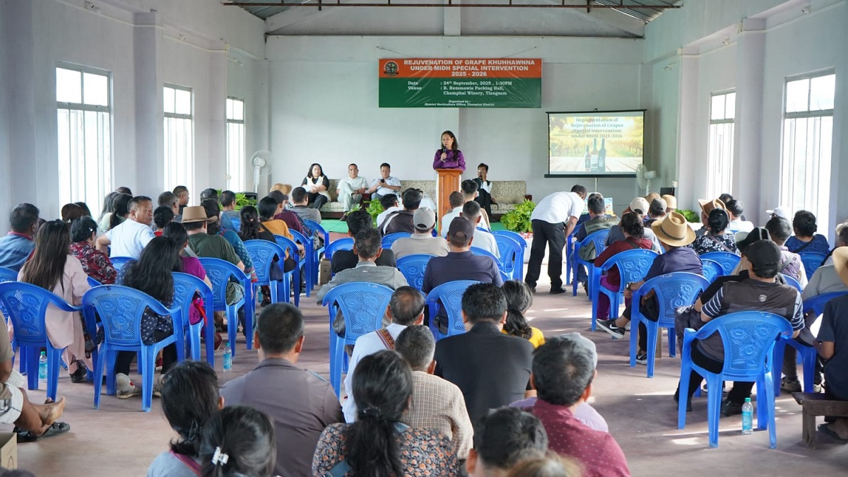 Champhai-ah Grape upa tawh tuai thar lehna beihpui thlak a ni dawn