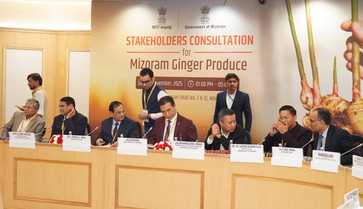 MIZORAM SAWHTHING THARCHHUAH CHUNGCHANG INRAWNKHAWMNA NEW DELHI-AH BUATSAIH (STAKEHOLDER CONSULTATION FOR MIZORAM GINGER)